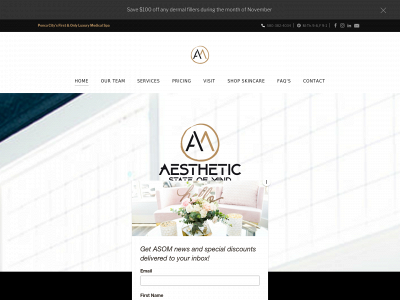 www.aestheticstateofmind.com snapshot