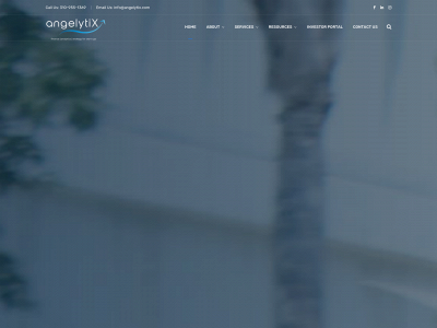 angelytixconsulting.com snapshot