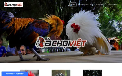 gachoiviet.weebly.com snapshot