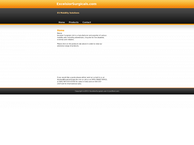 excelsiorsurgicals.com snapshot