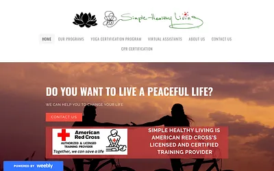 www.simplehealthyliving.com snapshot