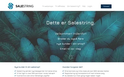 salestring.com snapshot
