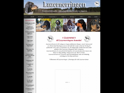 luzernerringen.se snapshot