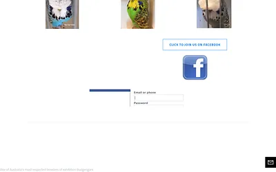 www.manvellbudgies.com snapshot