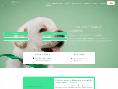 clinicaveterinariaservet.com snapshot