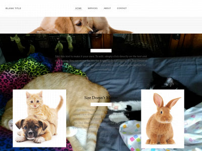 kittenzandcatz.com snapshot