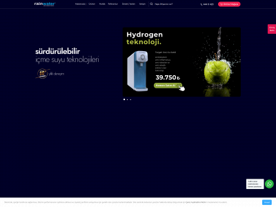 rainwatersu.com snapshot