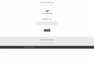 amityhorsemanship.co.uk snapshot
