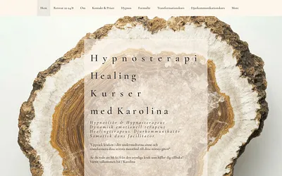 karolinabodestig.com snapshot