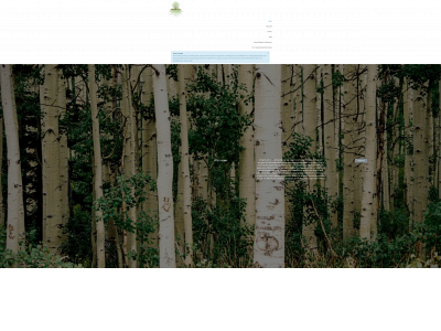 aspentherapeuticsmn.com snapshot
