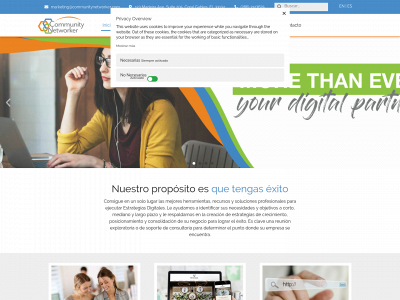 communitynetworker.com snapshot