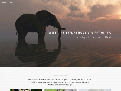 seorunworld.weebly.com snapshot