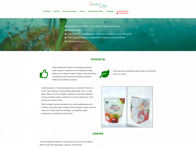 gardziossultys.lt snapshot