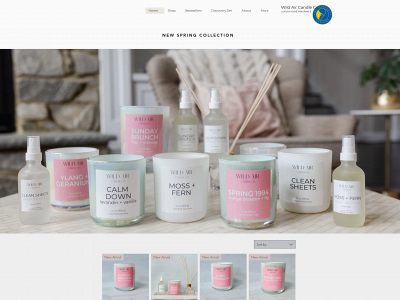 wildaircandleco.com snapshot