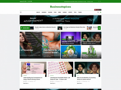 businesstopices.com snapshot