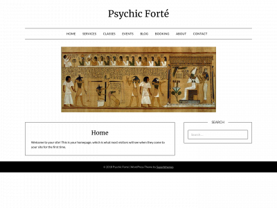 psychicforte.com snapshot