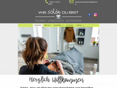 wieschoendubist.com snapshot