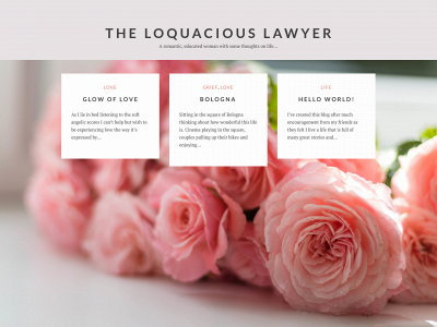 theloquaciouslawyer.com snapshot