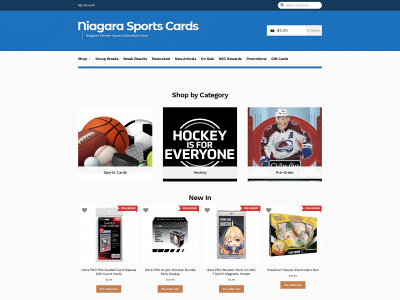 niagarasc.com snapshot