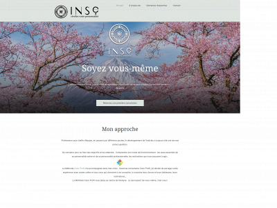 inse-by-nl.be snapshot