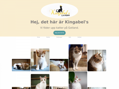 kingabels.com snapshot