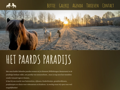 paardsparadijs.be snapshot