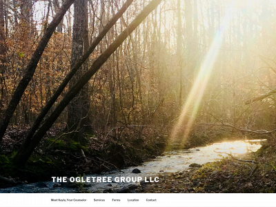 theogletreegroup.com snapshot