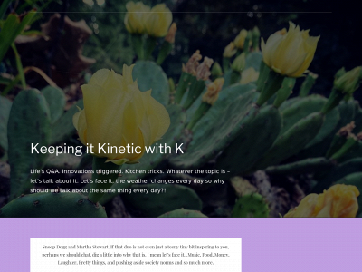 keepitkinetic.com snapshot
