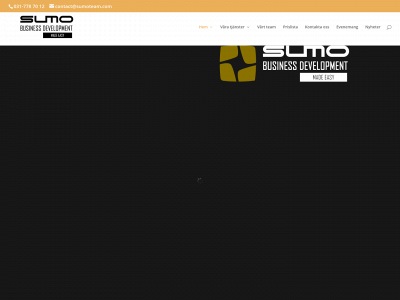 sumoteam.com snapshot