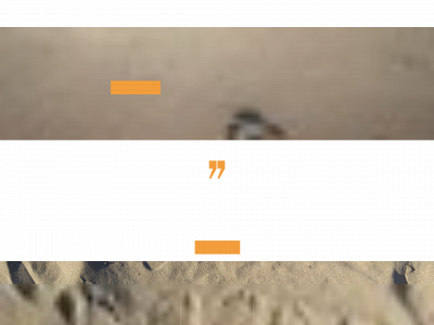 viavos.de snapshot