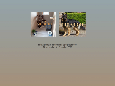 pension-trimsalonkamous.be snapshot