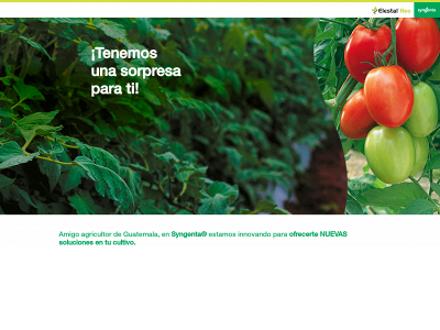 elestalneosyngentagt.com snapshot