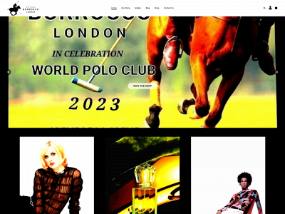 borrocco.com snapshot