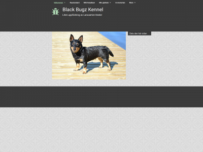 blackbugz.se snapshot
