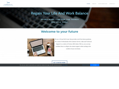 www.jtmultibusiness-llc.com snapshot