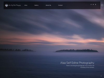 alaaseifeddinephotography.com snapshot