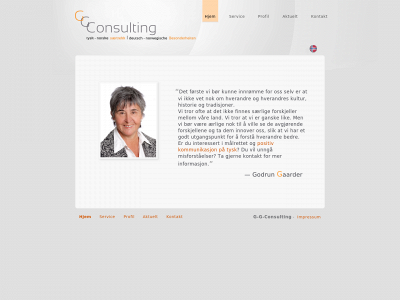 g-g-consulting.com snapshot