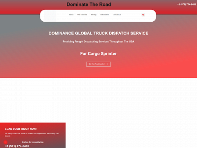 dominanceglobal.com snapshot