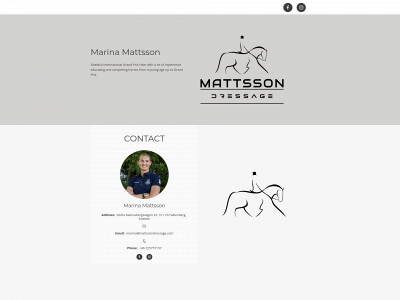 mattssondressage.com snapshot