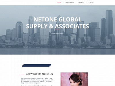 netonegsa.com snapshot