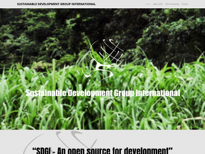sdg-int.org snapshot