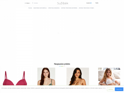 suzibek.lt snapshot