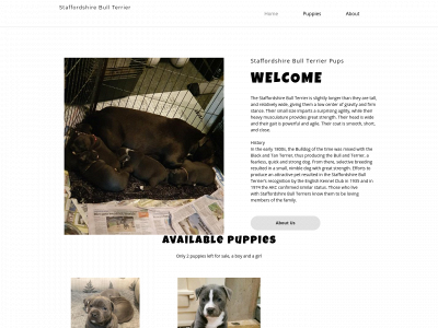 staffordshirebull-terrierkennel.com snapshot