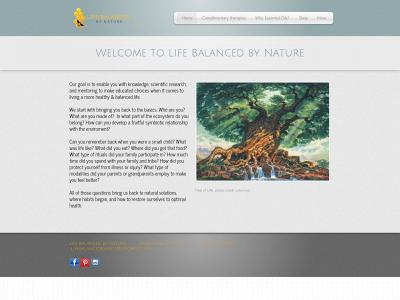 lifebalancedbynature.com snapshot