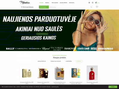 mintico.lt snapshot