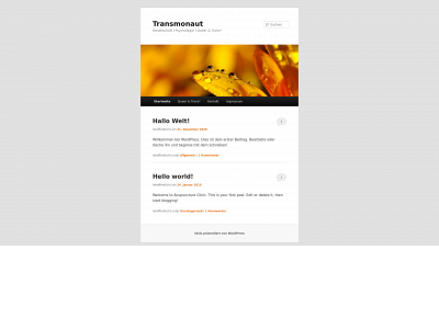 transmonaut.de snapshot