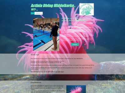 actiniadiving.be snapshot