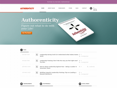 authorenticityblog.com snapshot