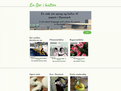 enfjerihatten.dk snapshot
