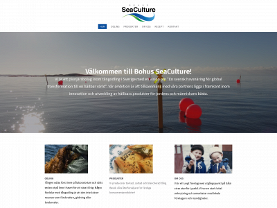 seaculture.se snapshot